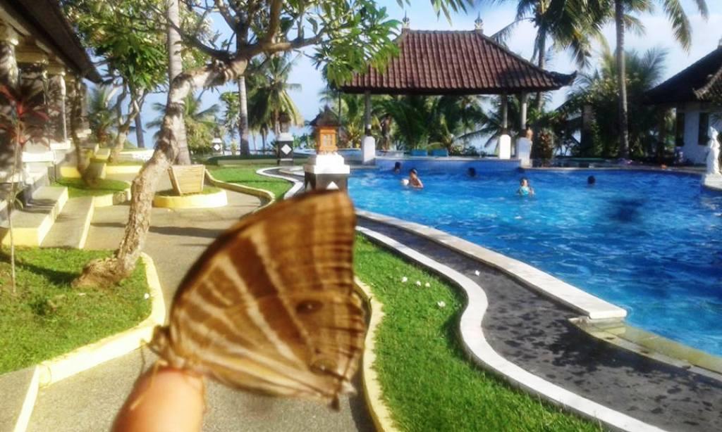 Bali Sunset Hotel Negara  Eksteriør bilde